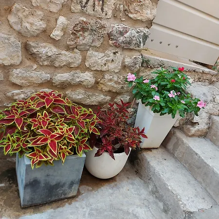 Apartament Nona 1